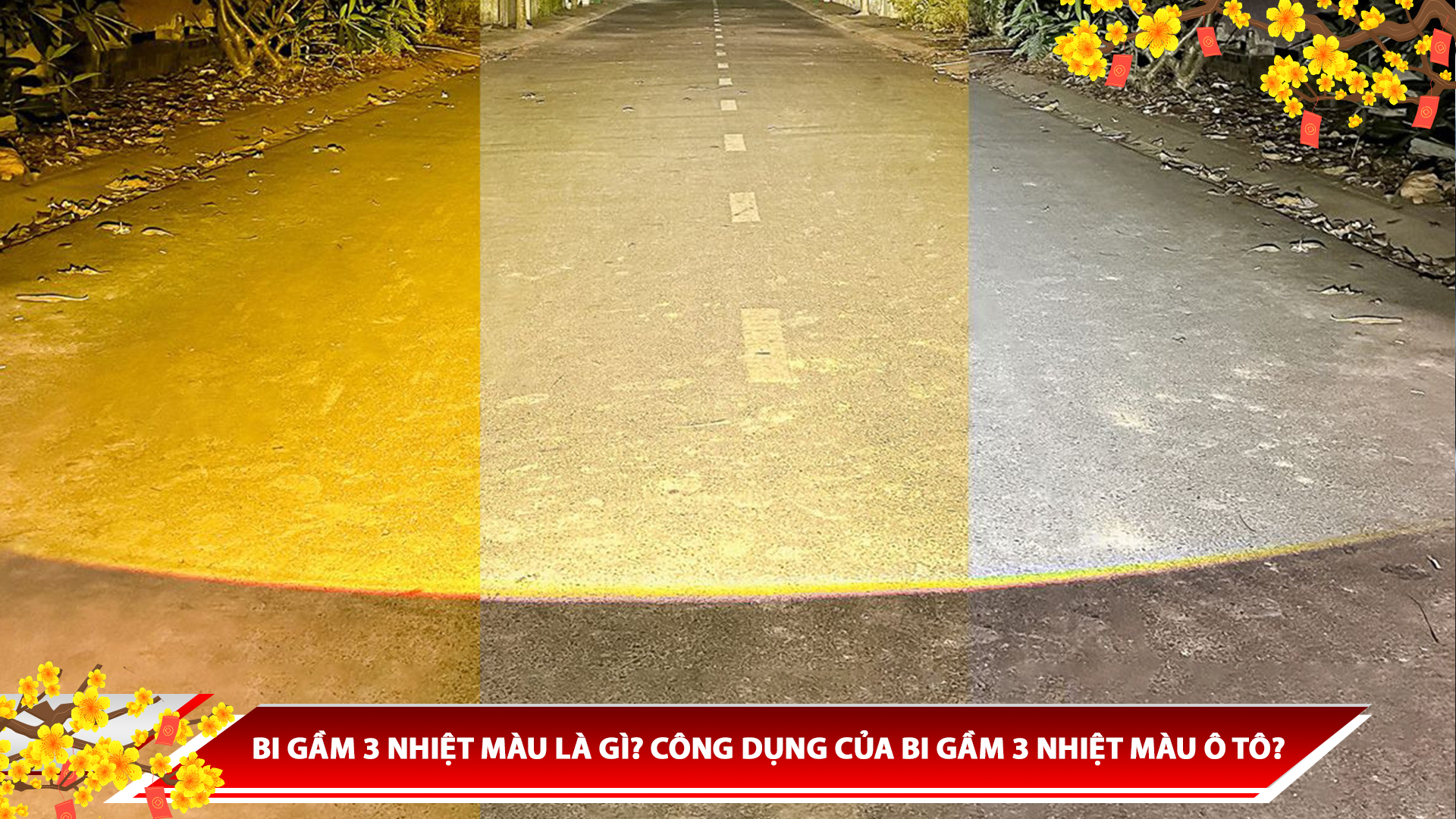 BI GẦM 3 NHIỆT MÀU LÀ GÌ? CÔNG DỤNG CỦA BI GẦM 3 NHIỆT MÀU Ô TÔ?